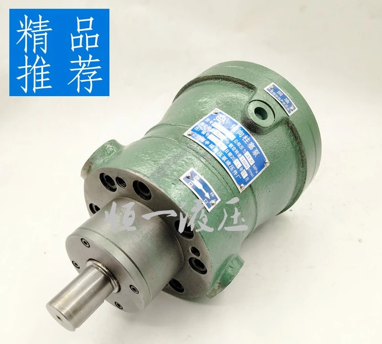 Shanghai Shenfu 2.5MCY 5MCY 10MCY14-1B 25MCY 63MCY 80MCY Plunger Oil Pump YCY