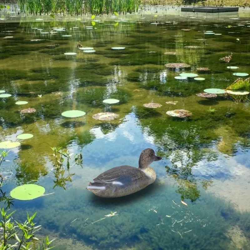 Plastic Simulation Duck Lifelike Duck Decoration Hunting Decoy For Garden