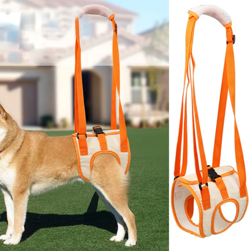 Dog Lift Harness for Large Dogs Hind Leg Support Makes Lifting Rear Legs of Bigger Canines Easier Comfortably Supports Harness