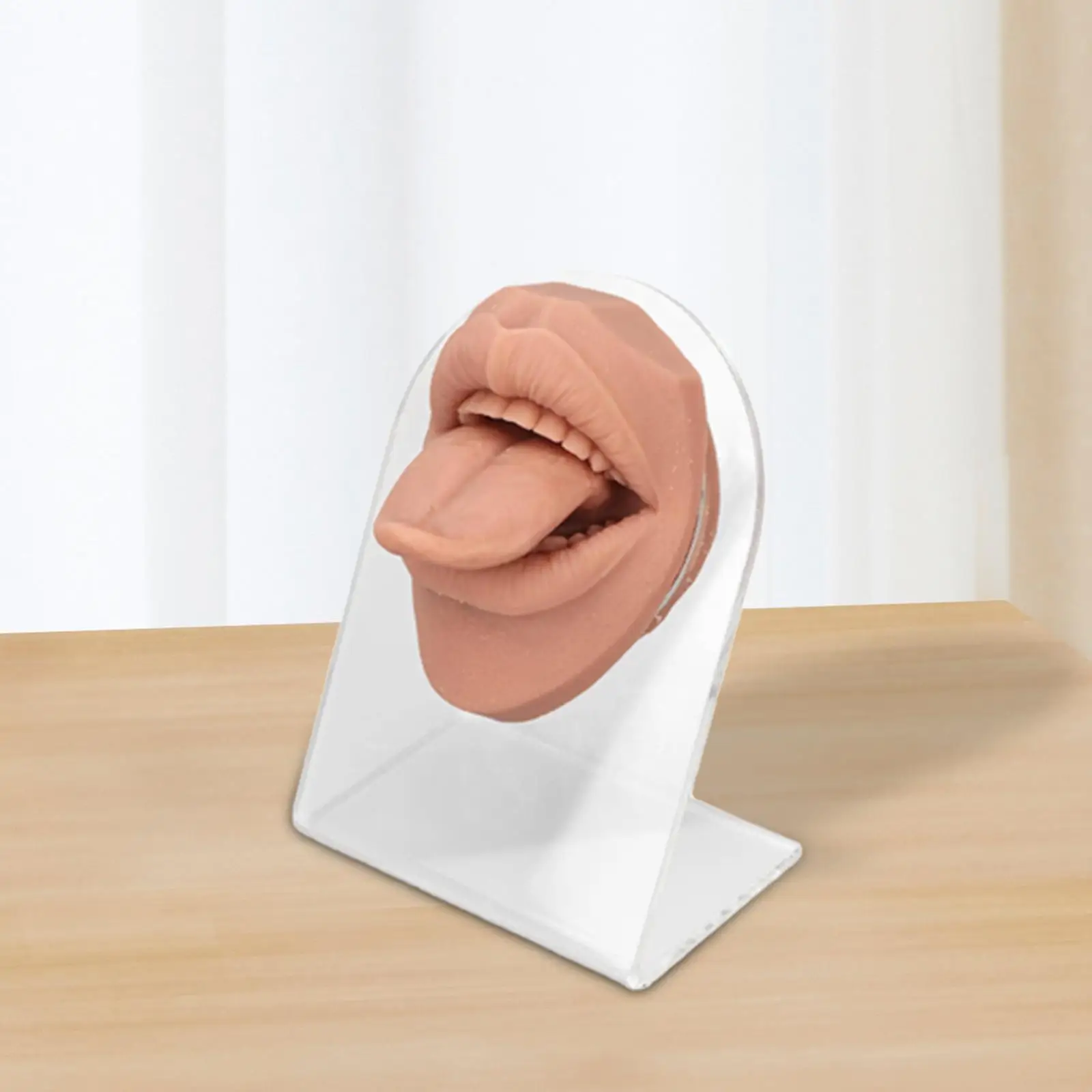 Modello di simulazione della bocca della lingua in silicone 3D Modello di visualizzazione della bocca della lingua Flessibile morbido per lo strumento didattico Pratica di piercing educativo