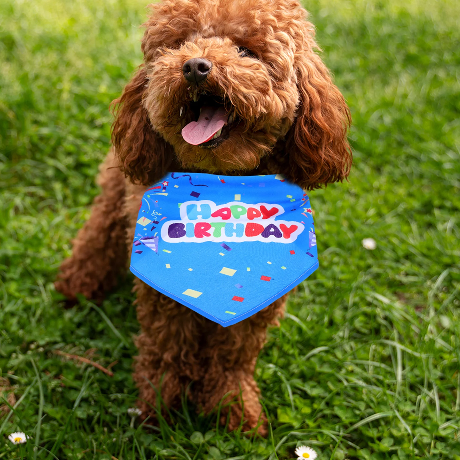 

Pet Dog Cat Triangular Bandana Birthday Party Scarf Soft Comfortable Neckwear for Small Dogs Cats Stylish Pet Birthday Present