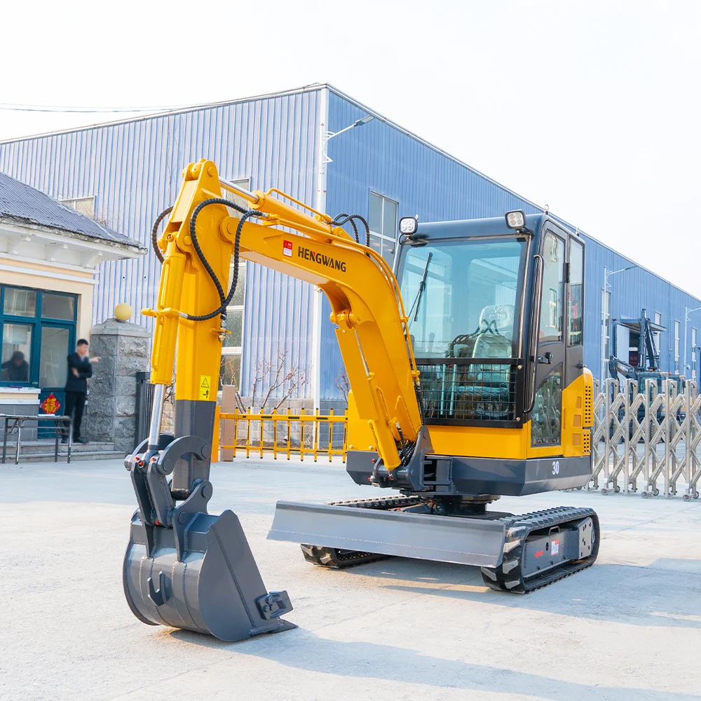 حار بيع حفارة صغيرة 3 طن حفارة مجنزرة محمل هيدروليكي حديقة استخدام محرك كوبوتا CE EPA Euro 5 مخصص في المخزون #6