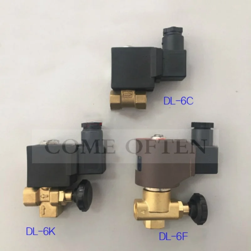 DL-6F 8Bar Boiler Special Adjustable Solenoid Valve Electric Heating Steam Boiler Iron Fittings 220V/50HZ G1/4