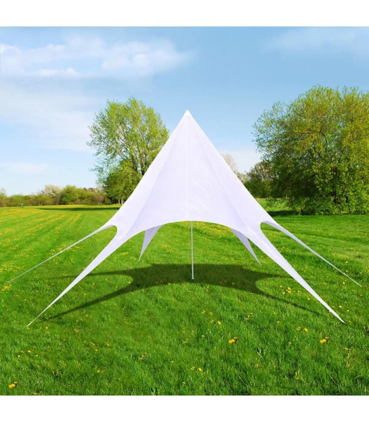 10 m hexagonal Arbor tent and gazebos Star Garden Pavilion