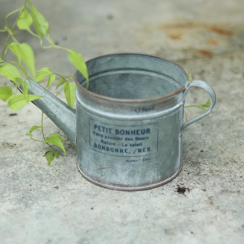 Retro wrought iron kettle flower pot flower device succulent indoor courtyard balcony grocery flower arrangement