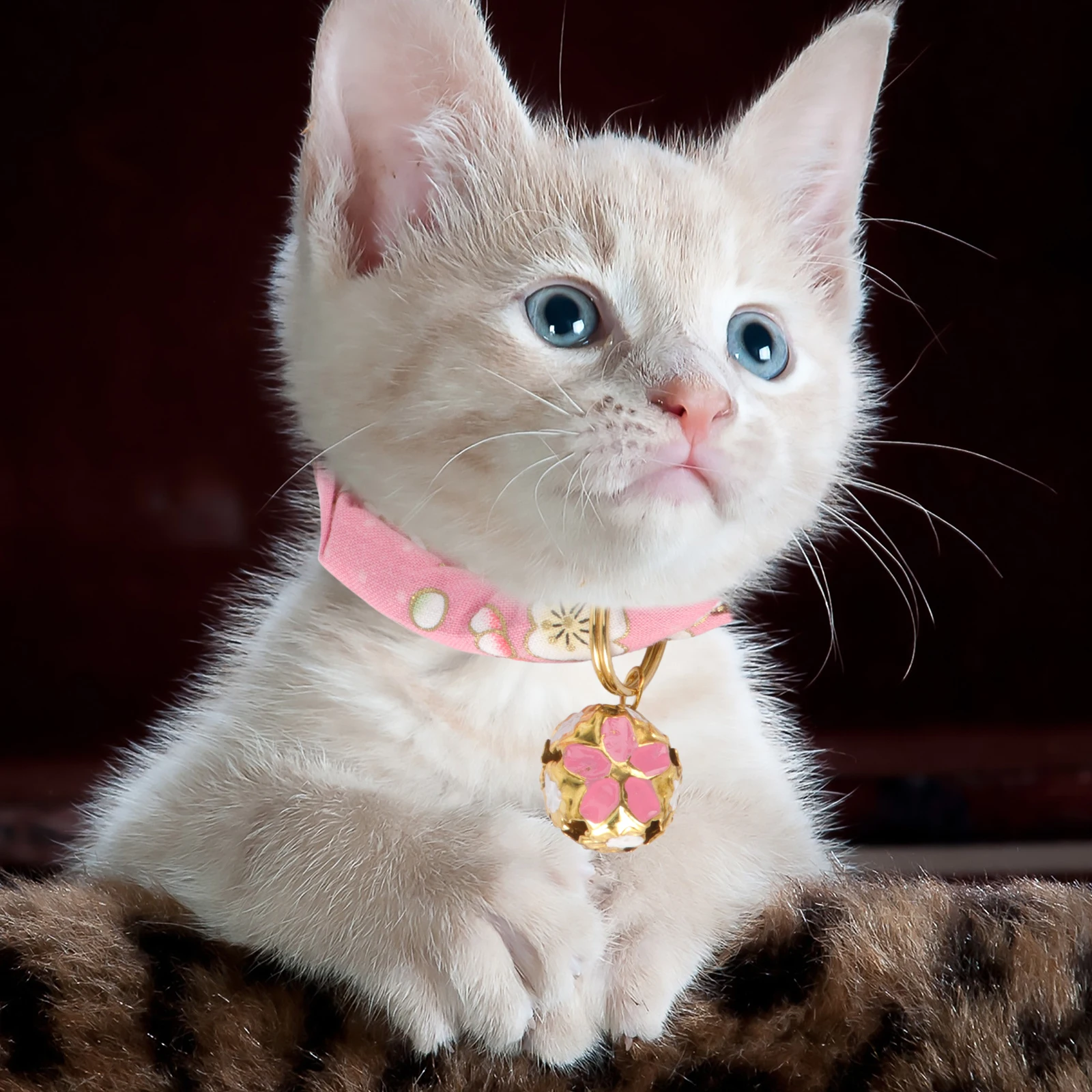 

Pet Dog Cat Collar with Bell Adjustable Soft Cotton Collars for Dogs Cats Bright Color Fashion Lovely Difference Pet Supplies