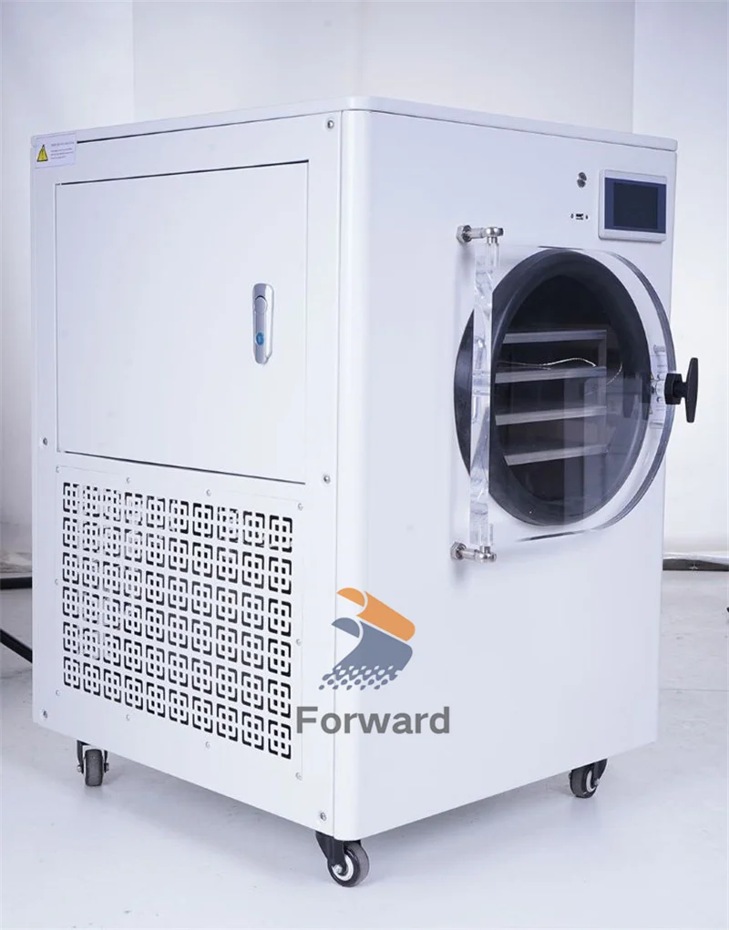 -55 degree Low Temperature Vacuum Freeze Dryer Machine Vegetables Fruit Vacuum Freeze Dryer Mini Lyophilizer Food Freeze Drying