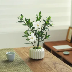 Flowers Planting Experiment Potted Fragrant Rose Desert Plants Portable Tool for Observation of Plant Growth Potted 2Pcs