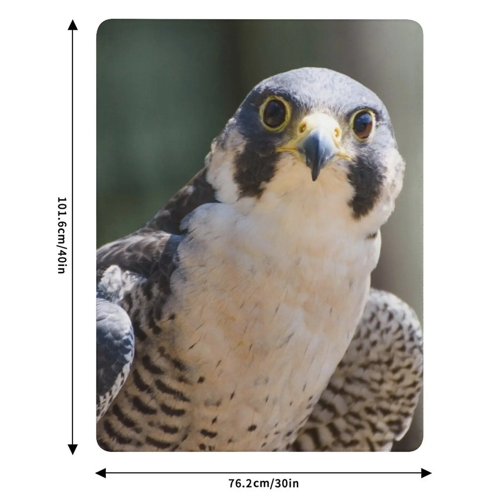 Peregrine falcon Throw Blanket Soft Plaid christmas gifts Winter beds Blanket