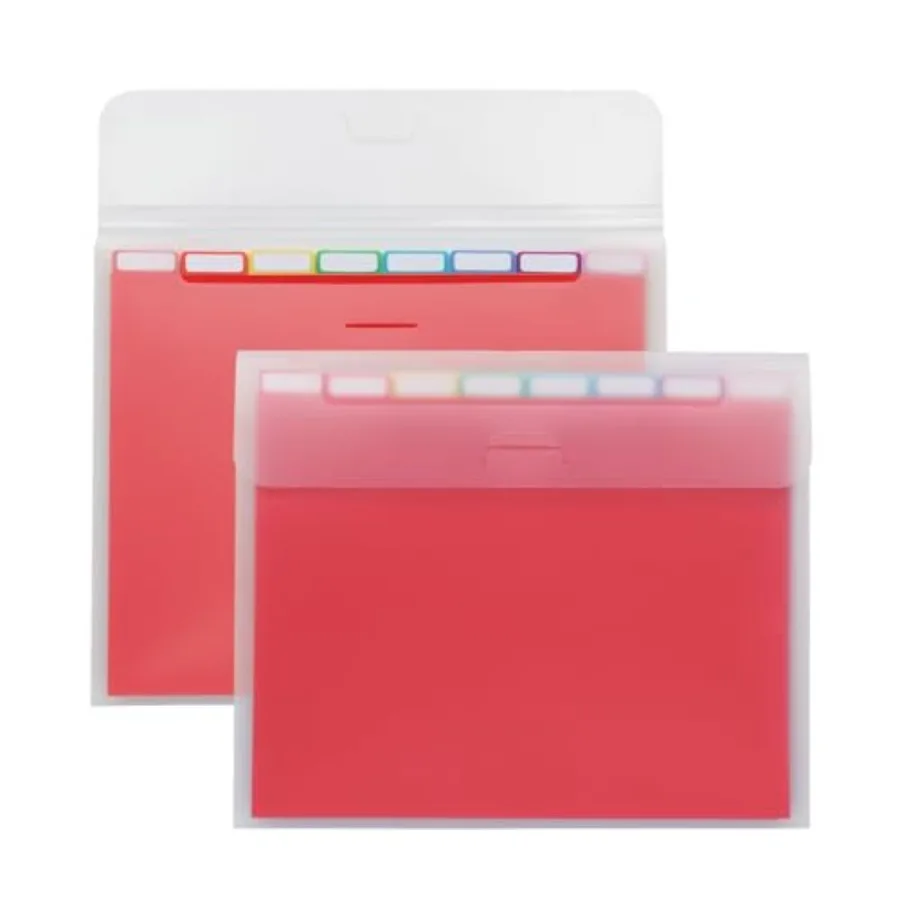 

Portable File Organizer, 8 Plastic File Folders, Clear Case, Storage for Home and Office, Document Organizer, Holds 8-Tab Poly