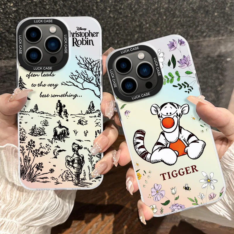 Cute Winnie the pooh For Apple iPhone 15 14 13 12 11 XS XR X 8 7 Pro Max Plus Laser Gradient Phone Case Cover