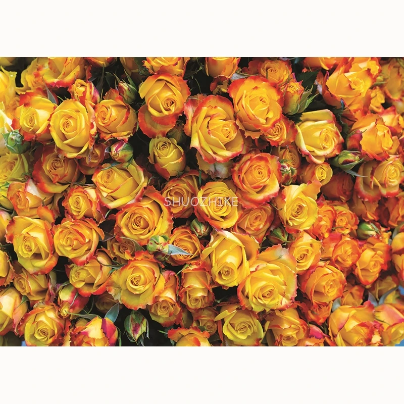 SHUOZHIKE Valentine's Day Rose Flower Photography Background Birthday Wedding Child Portrait Photo Backdrop Studio 210314RAI-02