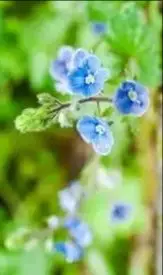 

For Segway Ninebot MAX G30 Electric Scooter Special Battery Rechargeable 36V Battery 15000mAh 10S6P Lithium 18650