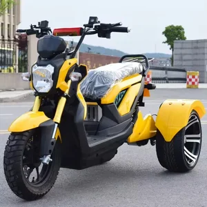 1000W Mode Abnehmbarer Akku von hochwertigen leistungsstarken Dreirädern Electric Trike Scooter Trike 10 Hauptverkaufsmotor Moto -Dreirad - №2