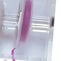 

1pc Dental Power Chain Box Acrylic Rubber Chain Dispenser Placing Box Multifunctional Dentist Tool