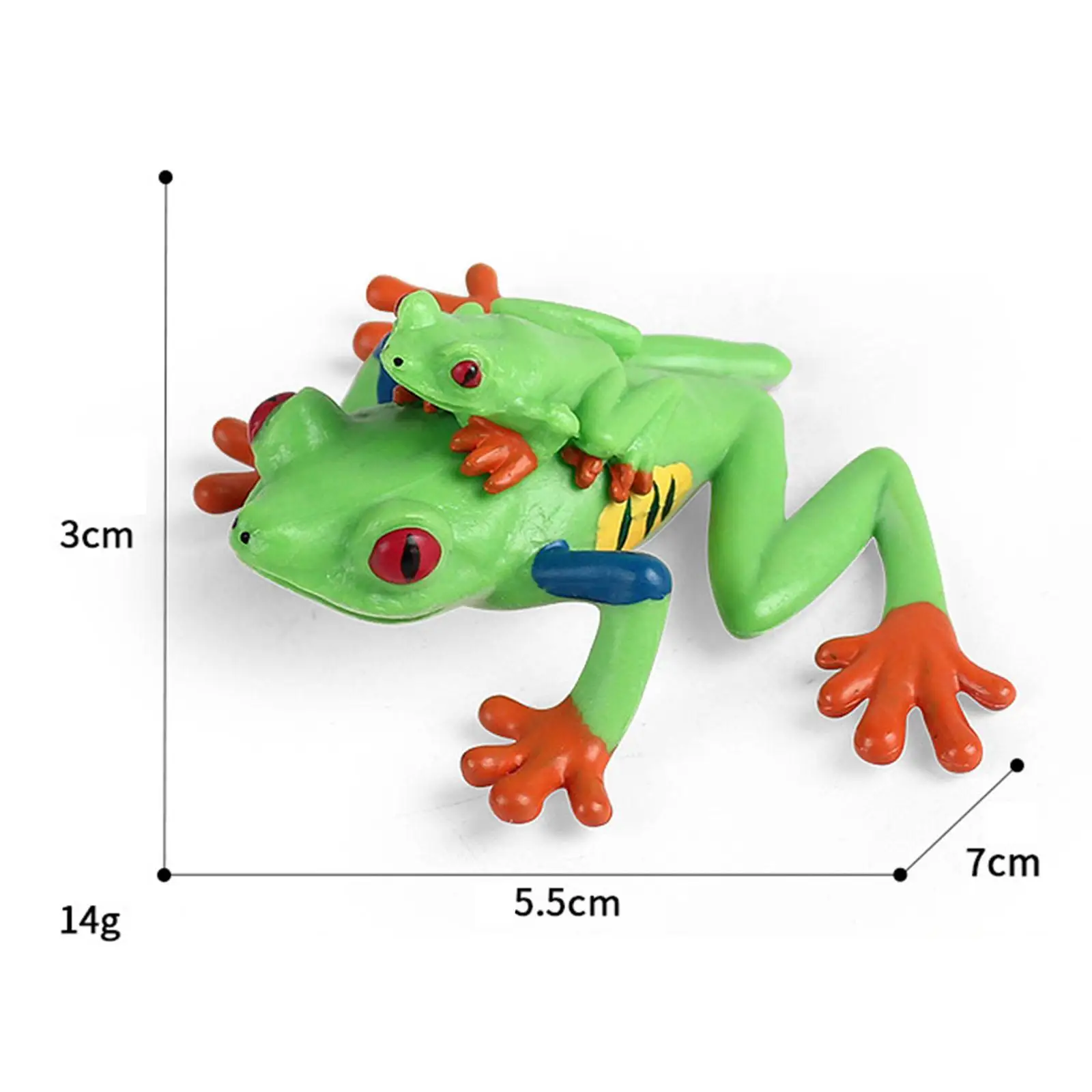 Frog Figurine Educational Collection Animal Model Toy for Party Decoration Bath Toys Party Favors Micro Landscape Teaching Aids