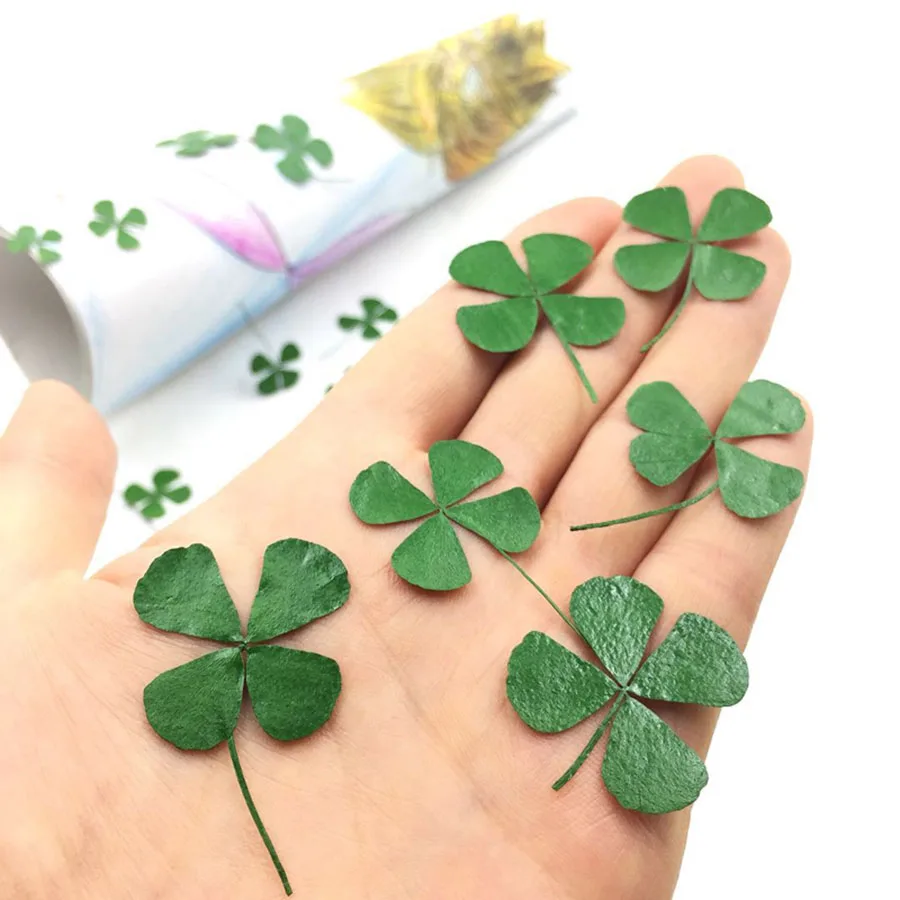 60pcs Green Pressed Dried 4-Leaf Leaves Lucky Leaf Plant Herbarium For Jewelry Pendant Ring Earrings Flower Making Accessories