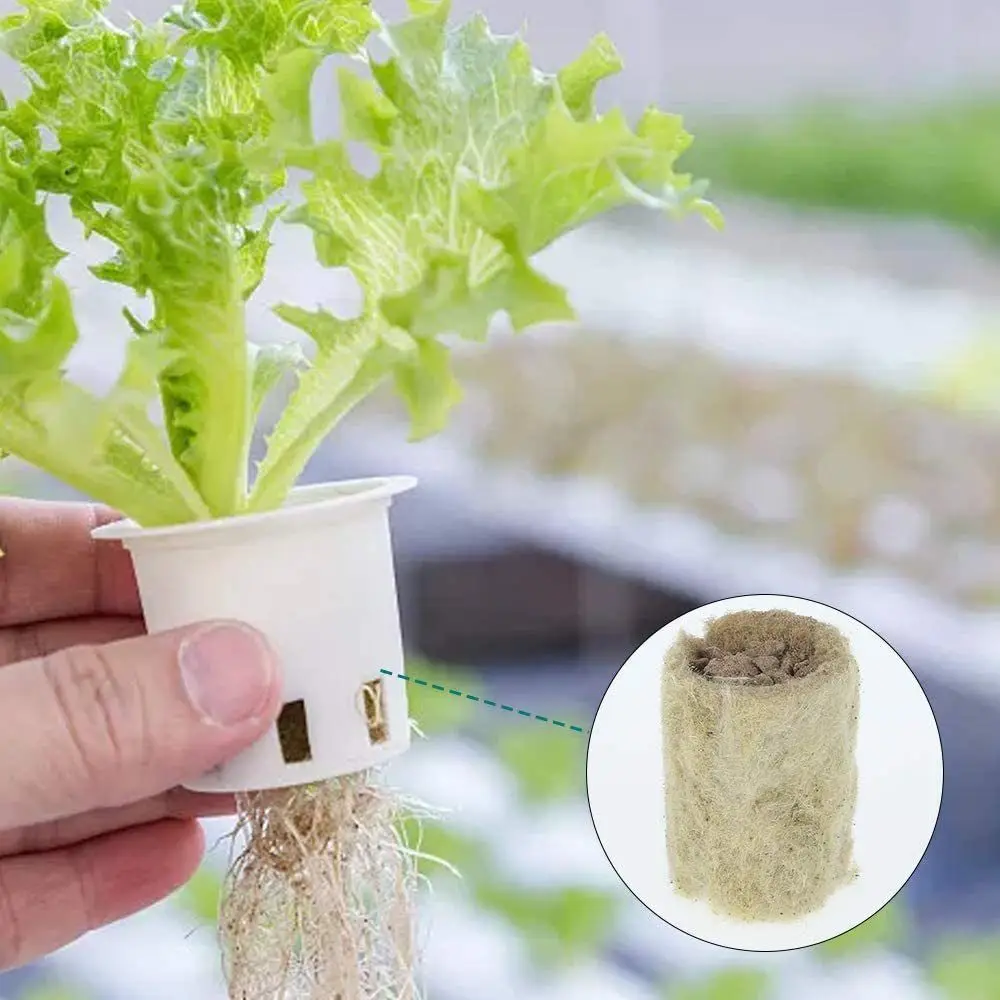 50PCS 27*20mm Size Hydroponic Seedling Block Hydroponic Substrate Garden Sponge Soilless Culture Substrate Seedling Medium