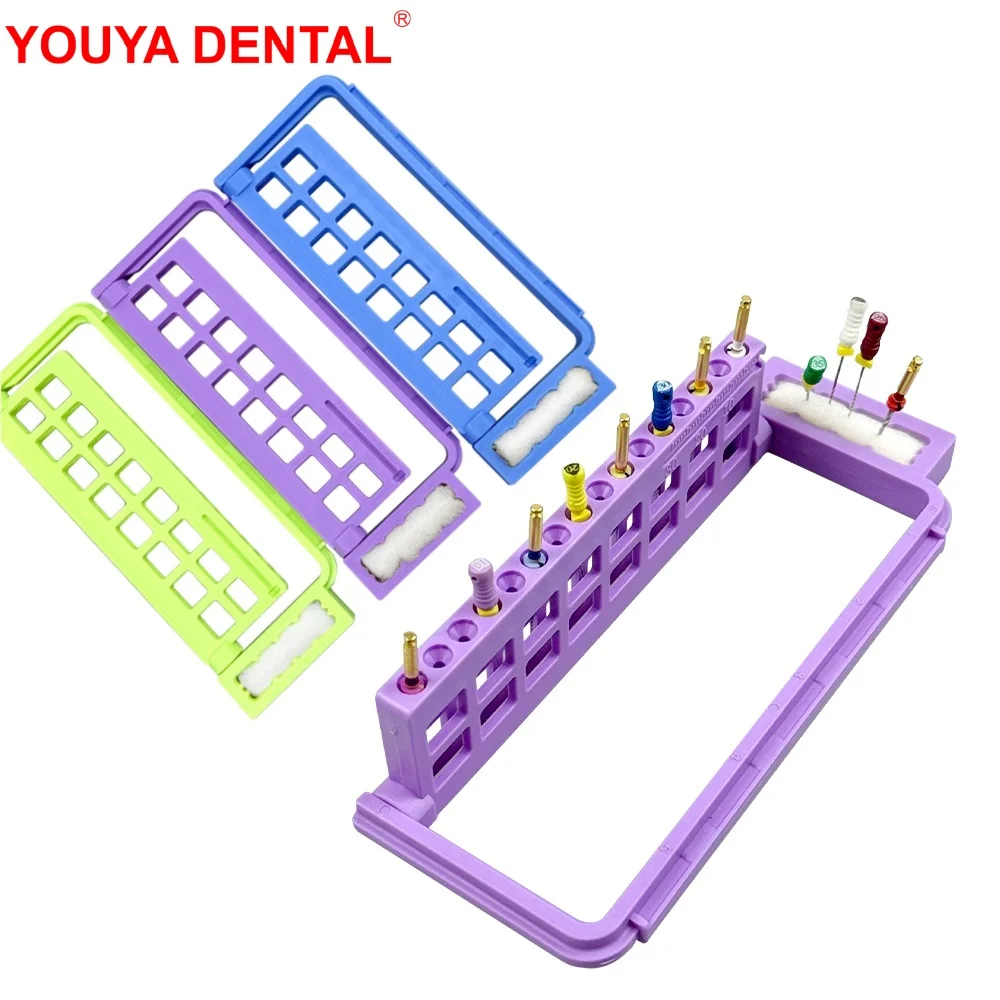 1pcs 16 Holes Dental Endo Files Holder with Record Rulers & Sponge Plastic Endo Stand Tray for Endodontic Files Organizer Rack