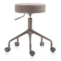 New Adjustable Pneumatic Swivel Rolling Dental Stool Ergonomic Heavy-Duty Chair with Wheels for Beauty Salon Spa Office Home