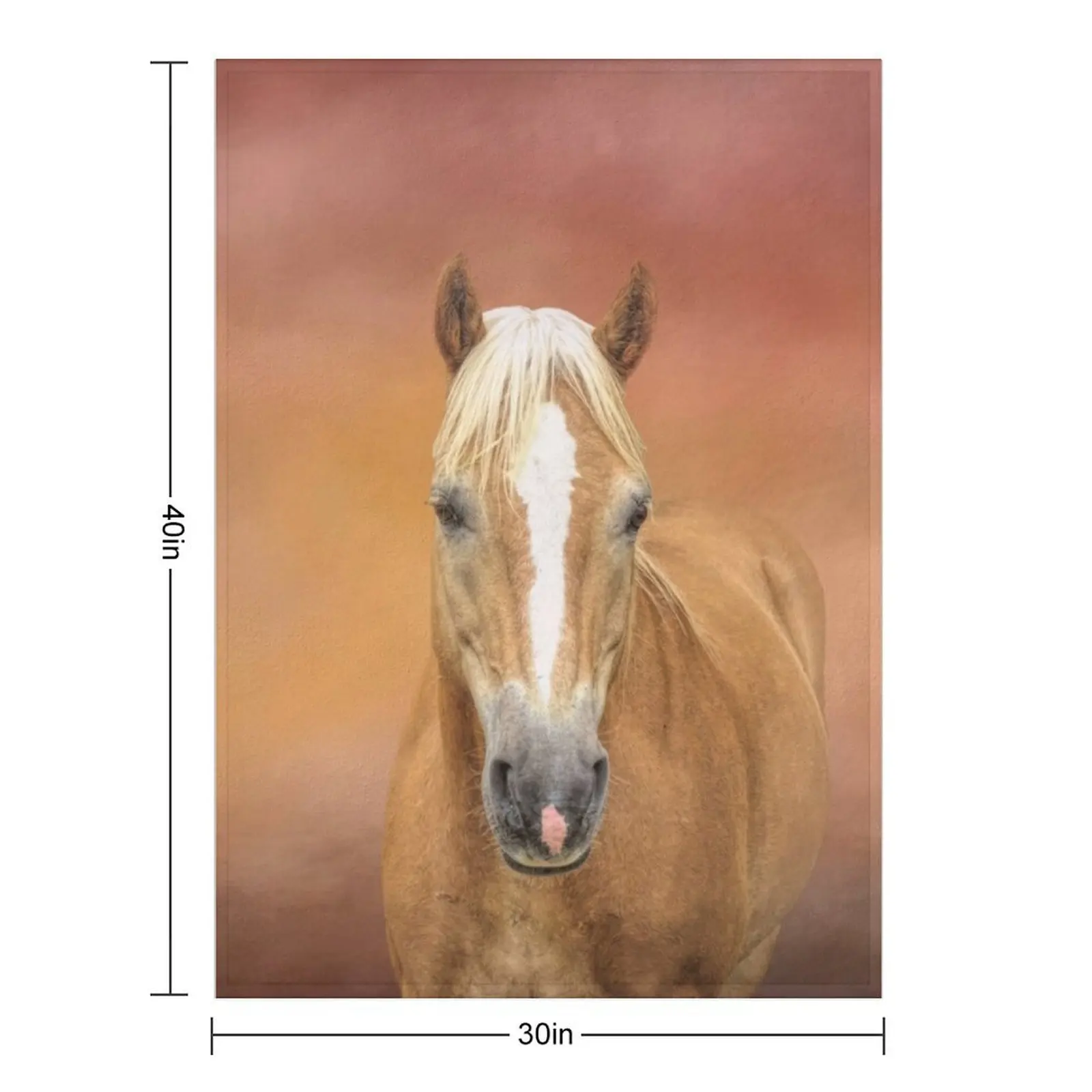 Beloved Haflinger Horse Throw Blanket for winter Warm Comforter Bed covers Blankets
