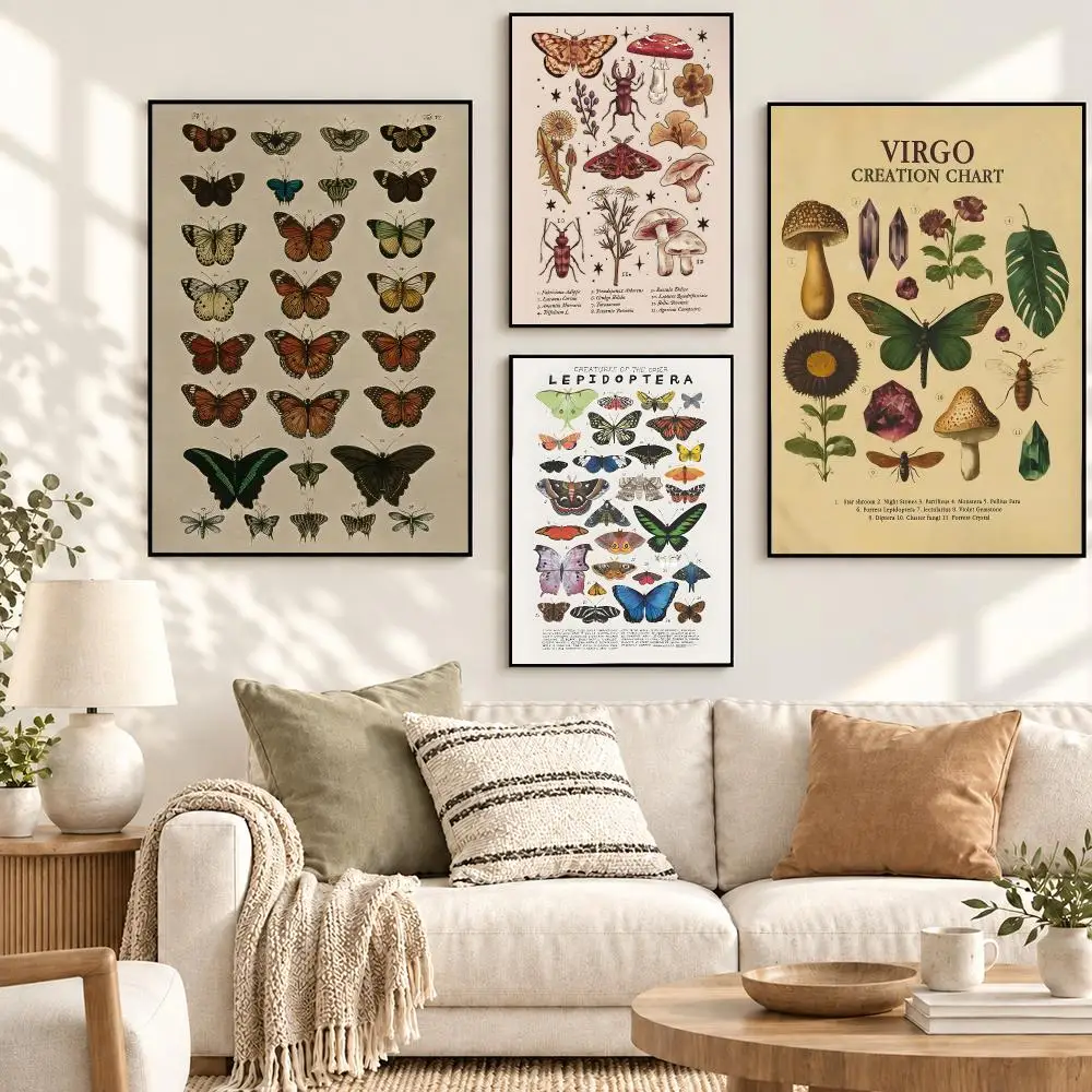 Animal and plant specimens Natural History Botanical Poster Decorative art prints for the home, holiday gifts, unframed