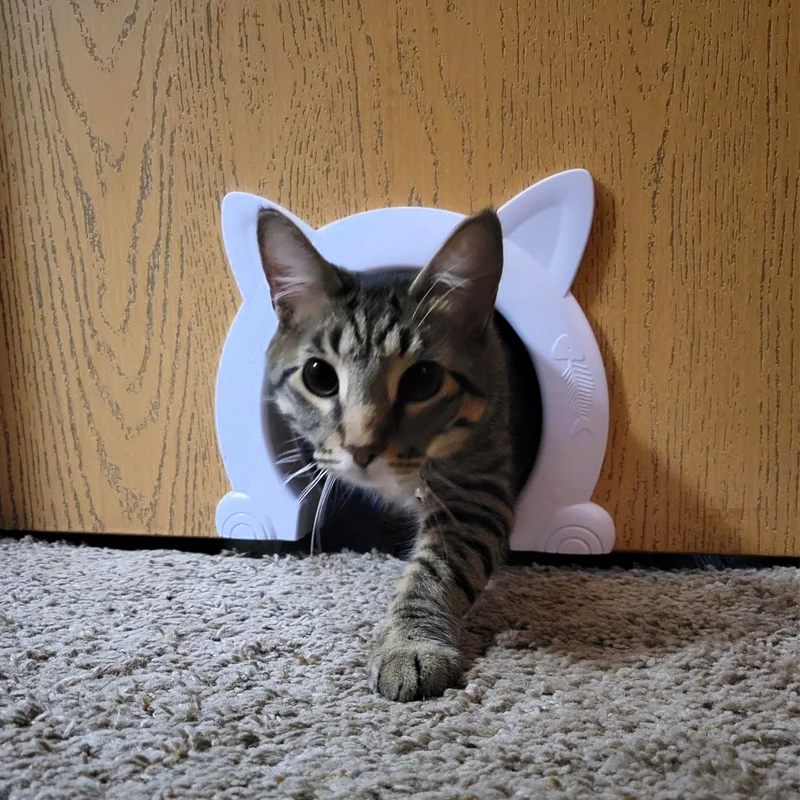 

Cat door Inner door Hidden pet trash can Pet door