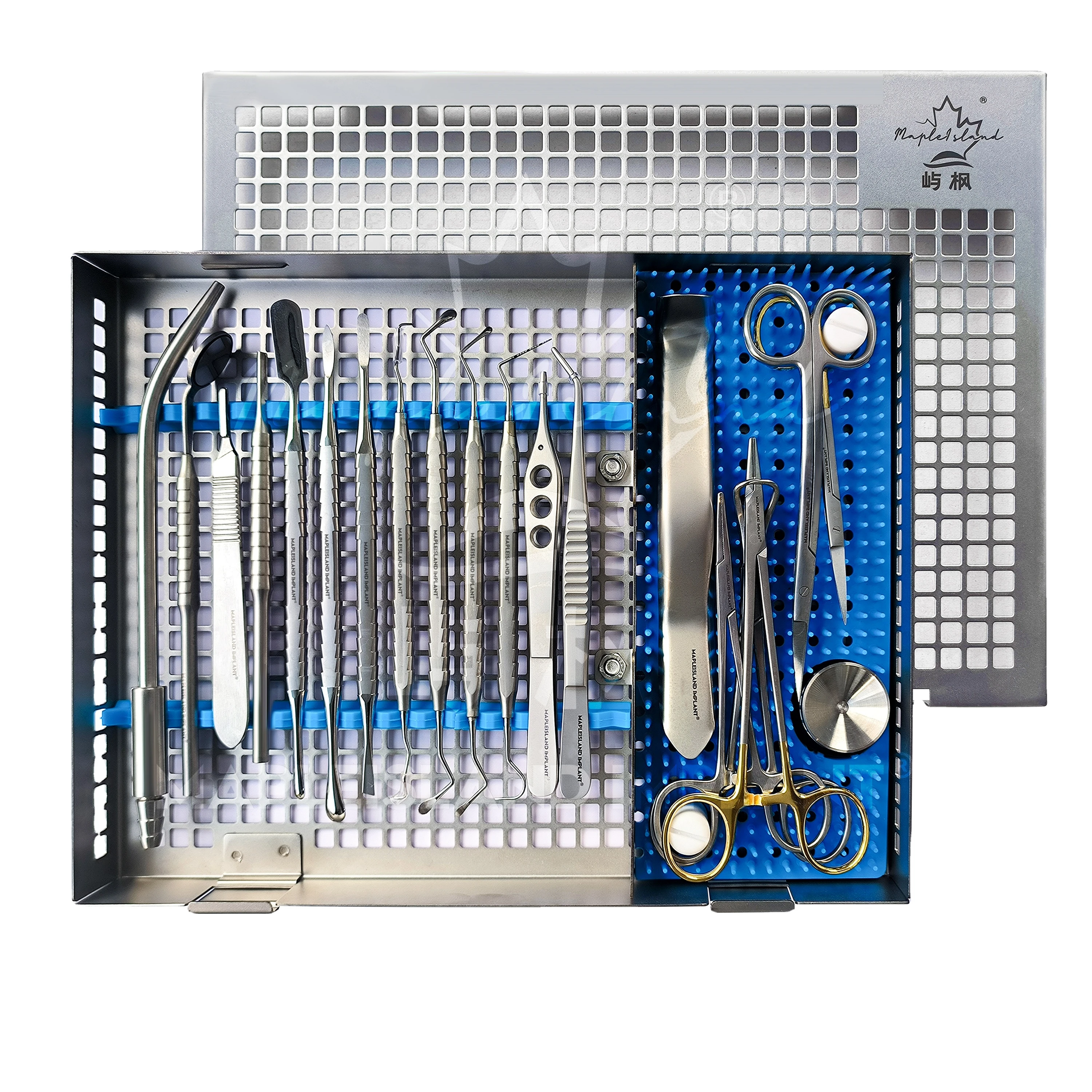 Mapleisland Implant Dental Kit 20-Piece High-quality Stainless Steel Silver Class I