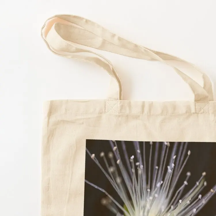 ليلي بلي حمل حقيبة حقيبة مخصصة حمل حقيبة امرأة فاخرة المرأة قماش حمل الحقائب