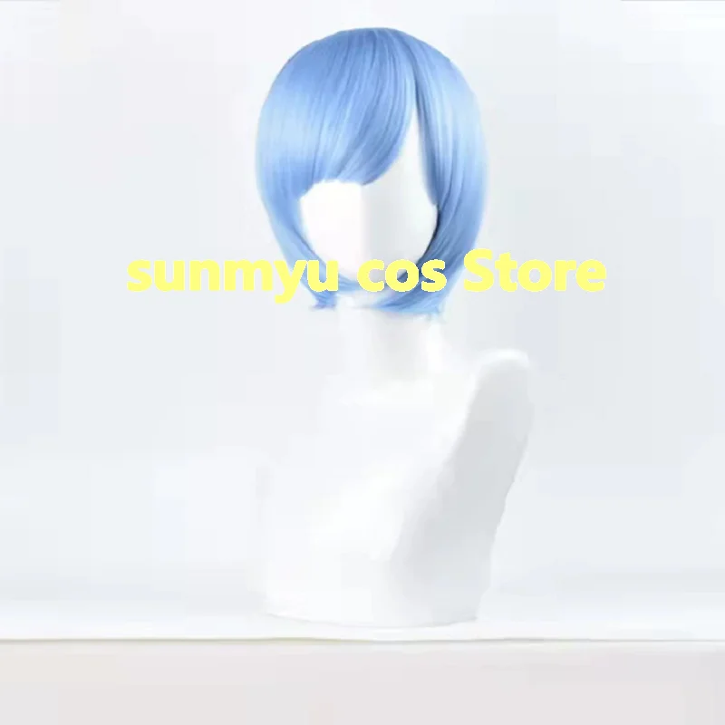 

Re Zero kara Hajimeru Isekai Seikatsu Rem Cosplay Wig