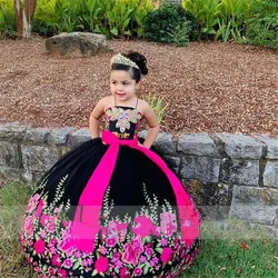 Embroidery Applique mini  Quinceanera Dresses Children Princess Dress Beauty Puffy Flower Girl Birthday Dress Photography