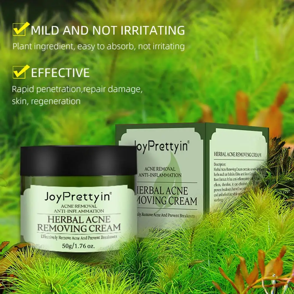 شجرة الشاي العشبية كريم حب الشباب السيطرة على النفط شجرة الشاي مصل المسام مستحضرات التجميل الكورية إزالة بثرة الرعاية إصلاح الجلد حب الشباب الوجه Clea A2I1