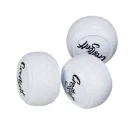 2Pcs Flat Golf Training Balls  Flat Shape Golf Ball Two Layer Driving Balls Golf Practice Balls for Swing Putter