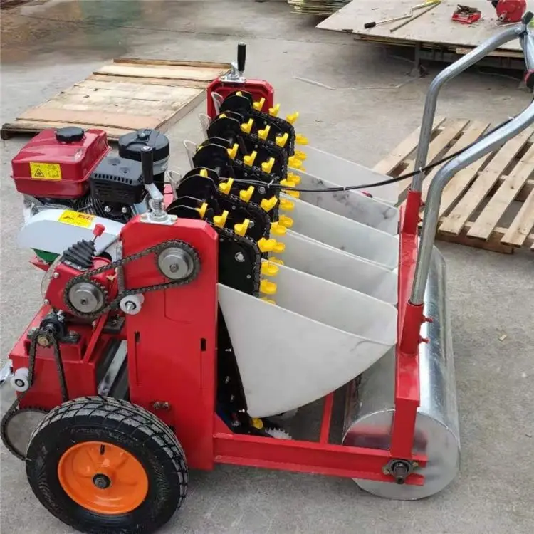 High Productivity Rows Garlic Seeder 6-10 3 Point Mounted 10 Row Header Farm Massey Ferguson Planter Machine