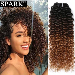 Spark-Extensions de cheveux humains afro crépus bouclés, 3/4 cheveux humains, faisceaux de tissage brésilien ombré, 1/100%