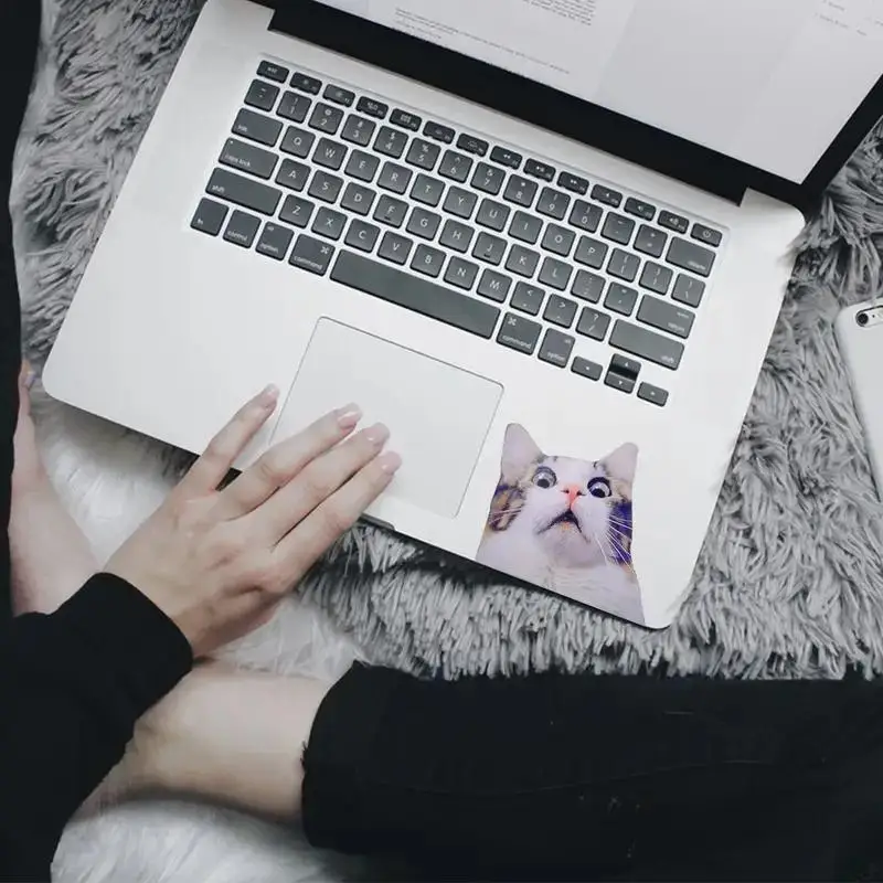 2 szt. Naklejki Strach na Koty - Śmieszne Naklejki z Kotami w 2 Rozmiarach, Śmieszny Kot, Śmieszna Naklejka z Kotem, Naklejka z Kotem