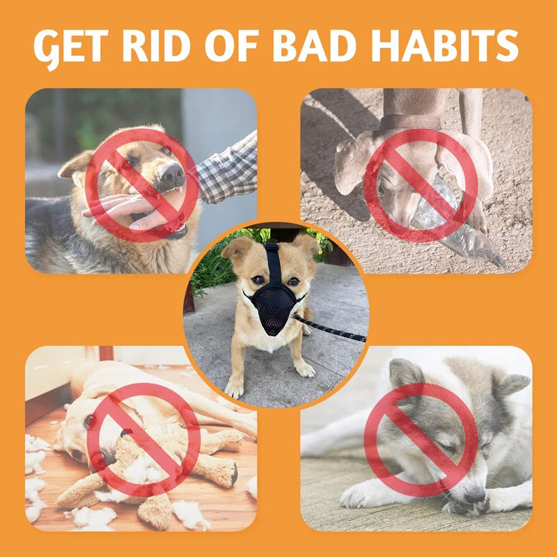 Thumbnail 2 - #6 Trending Puppy Muzzles Right Now