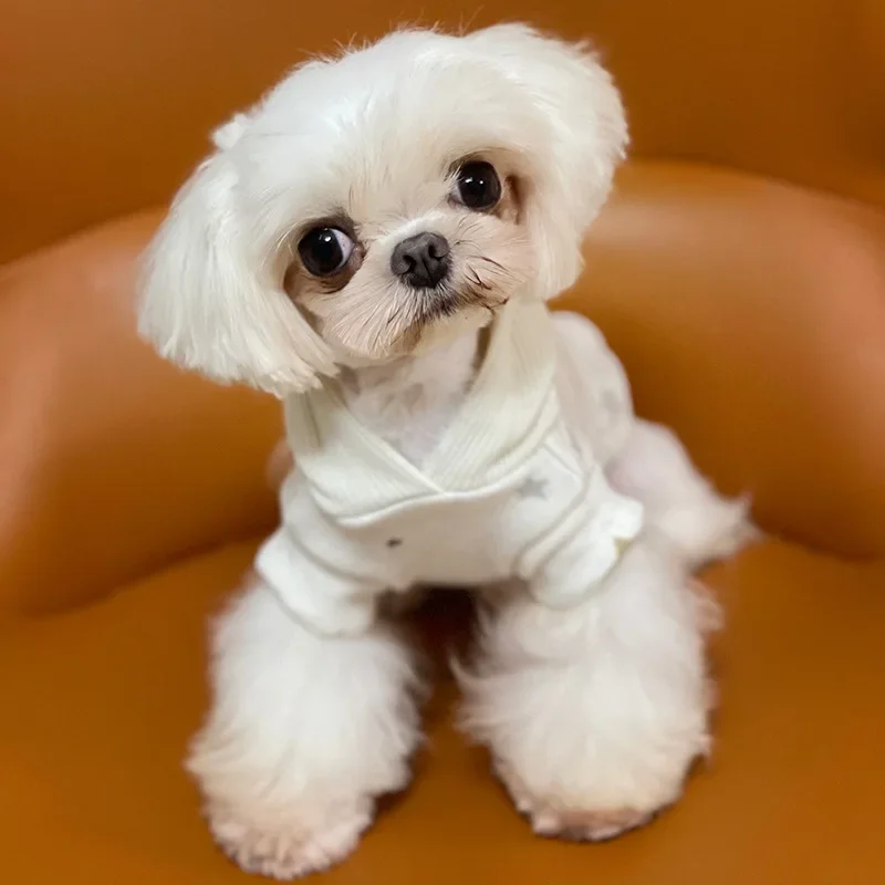 Autumn and Winter Pet Hooded Sweater Cute Star Sweater Dog Bottom Coat Cat Sweater Dog Casual Small Dog Pet Teddy Clothes