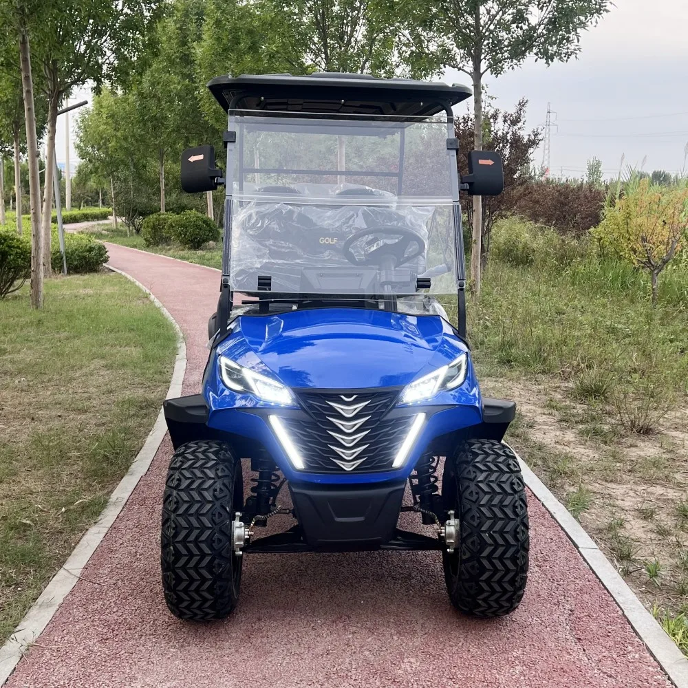 High Quality 4000W 60V Long Range Electric Golf Cart 14 Inch Off-Road Tire Family Electric Gocart 4 Wheel Golf Car