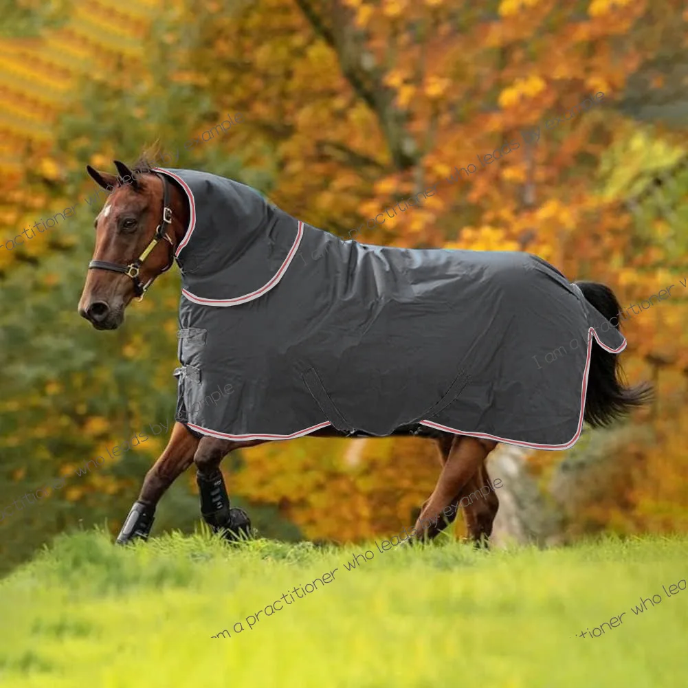 

Tear-resistant one-piece horse suit, cold-proof and thermal insulation, winter horse suit, daily pini with scarf.