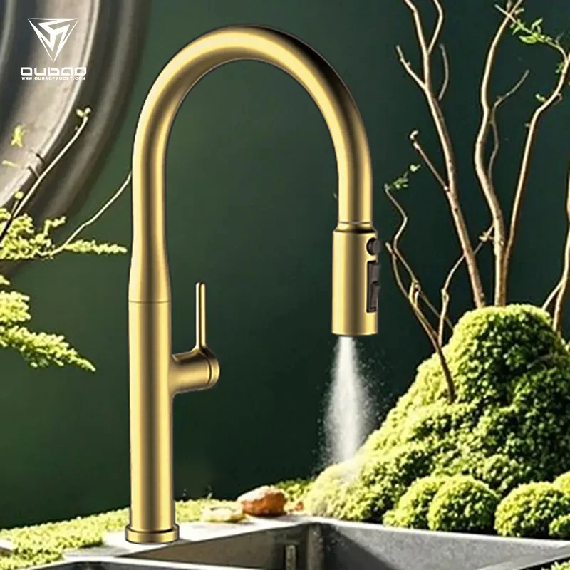 Sink with water filter, kitchen faucet, customized faucet, mixer faucet, extended single handle single hole faucet