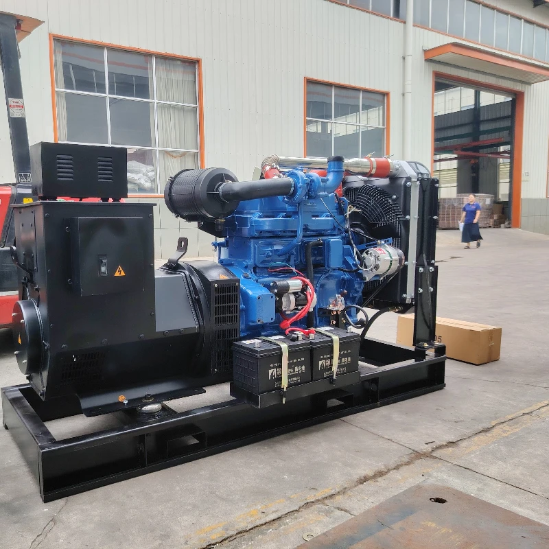 Soundproof Silent Power Generator 20kW Diesel Generator with Automatic Transfer Switch for Hospital Hotel Mobile Services