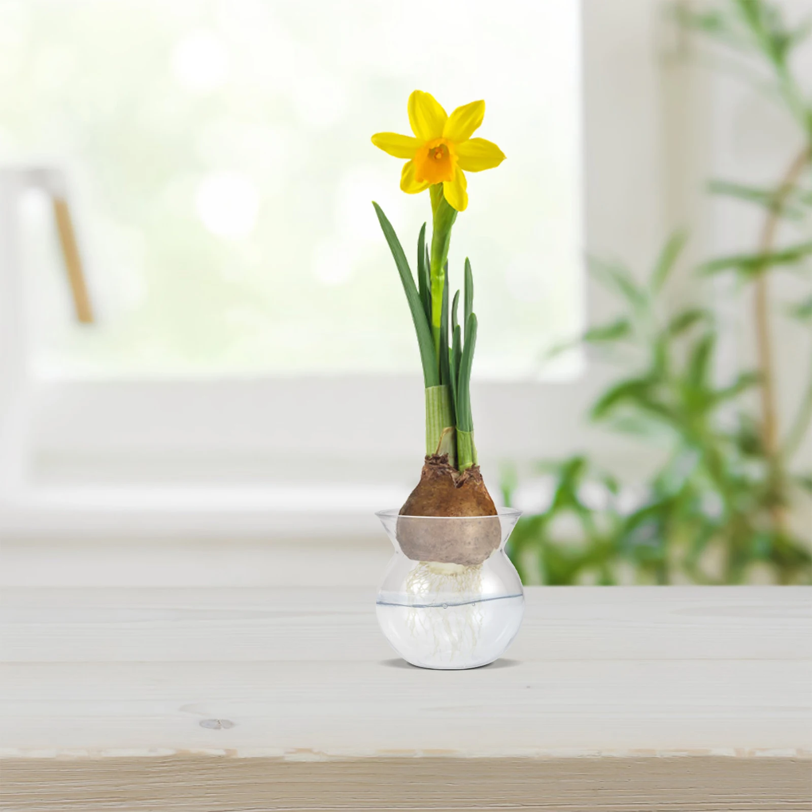 

6 Pcs Transparent Flower Pot Mini Plant Pots Creative Design Desktop Decoration Child Friendly Clear Vase