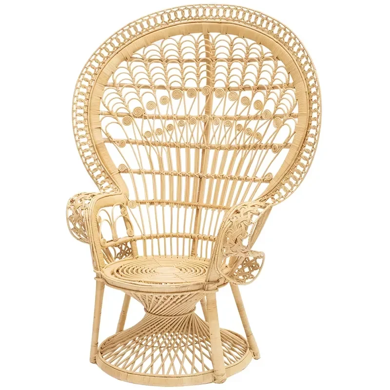 Modern Style Peacock Egg Chair with Stand Outdoor Patio Hanging Swing Garden Furniture for Hotels and Villas Factory Direct