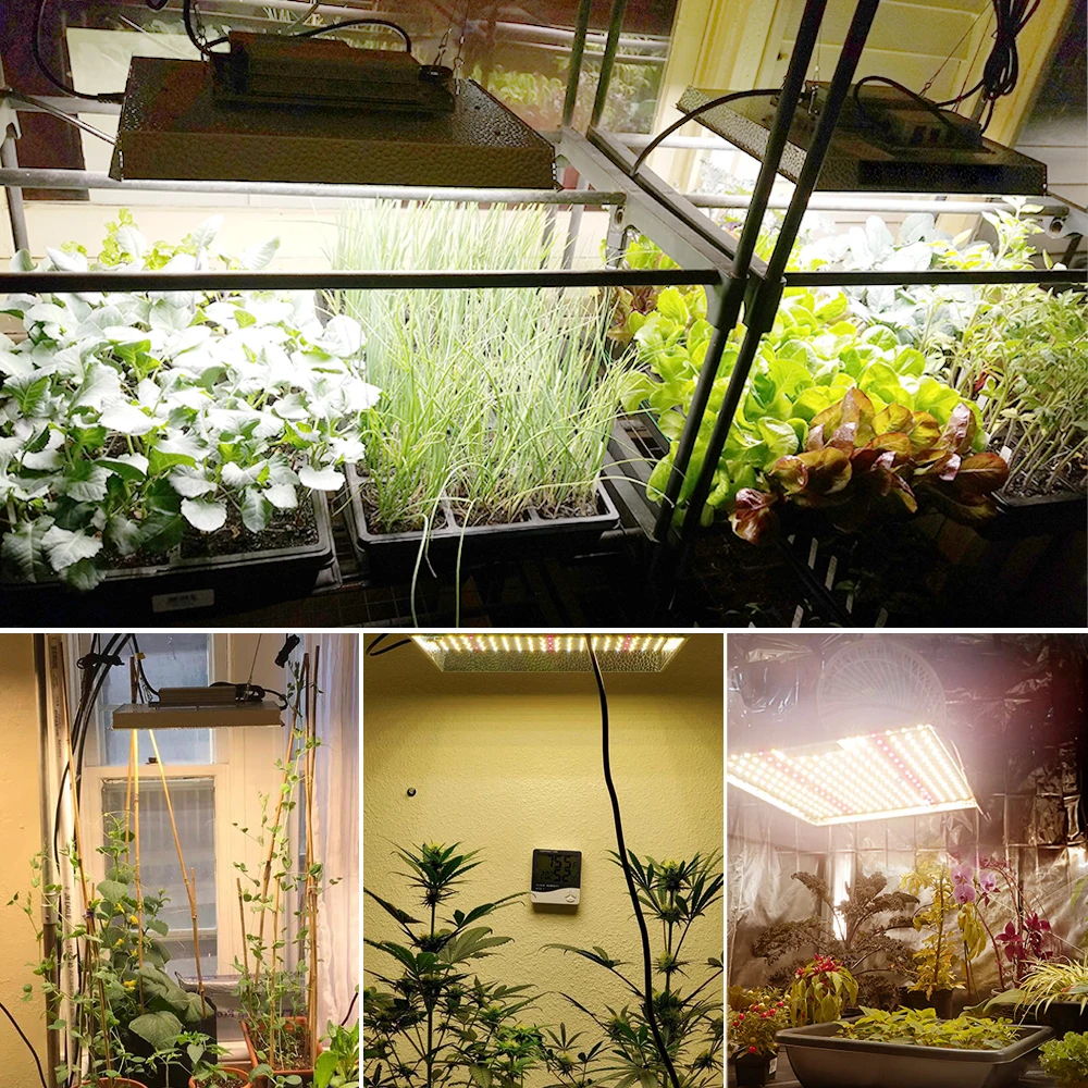 100W Full Spectrum Growth Light Quantum Board Waterproof IP65 Adjustable Spectrum Greenhouse Succulent Vegetable Growth Light