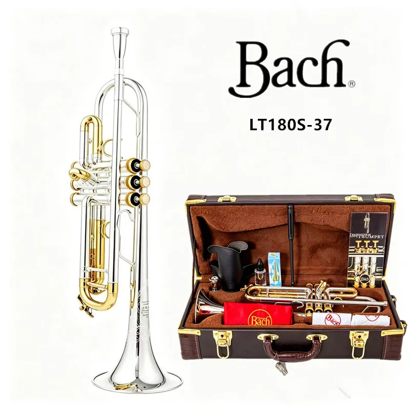 Trompa Stradivarius LT180S-37 Auténtica en Rame a Doppio Fosforo, Trompa Profesional en Si Bemol, Instrumento Musical de Alta Calidad