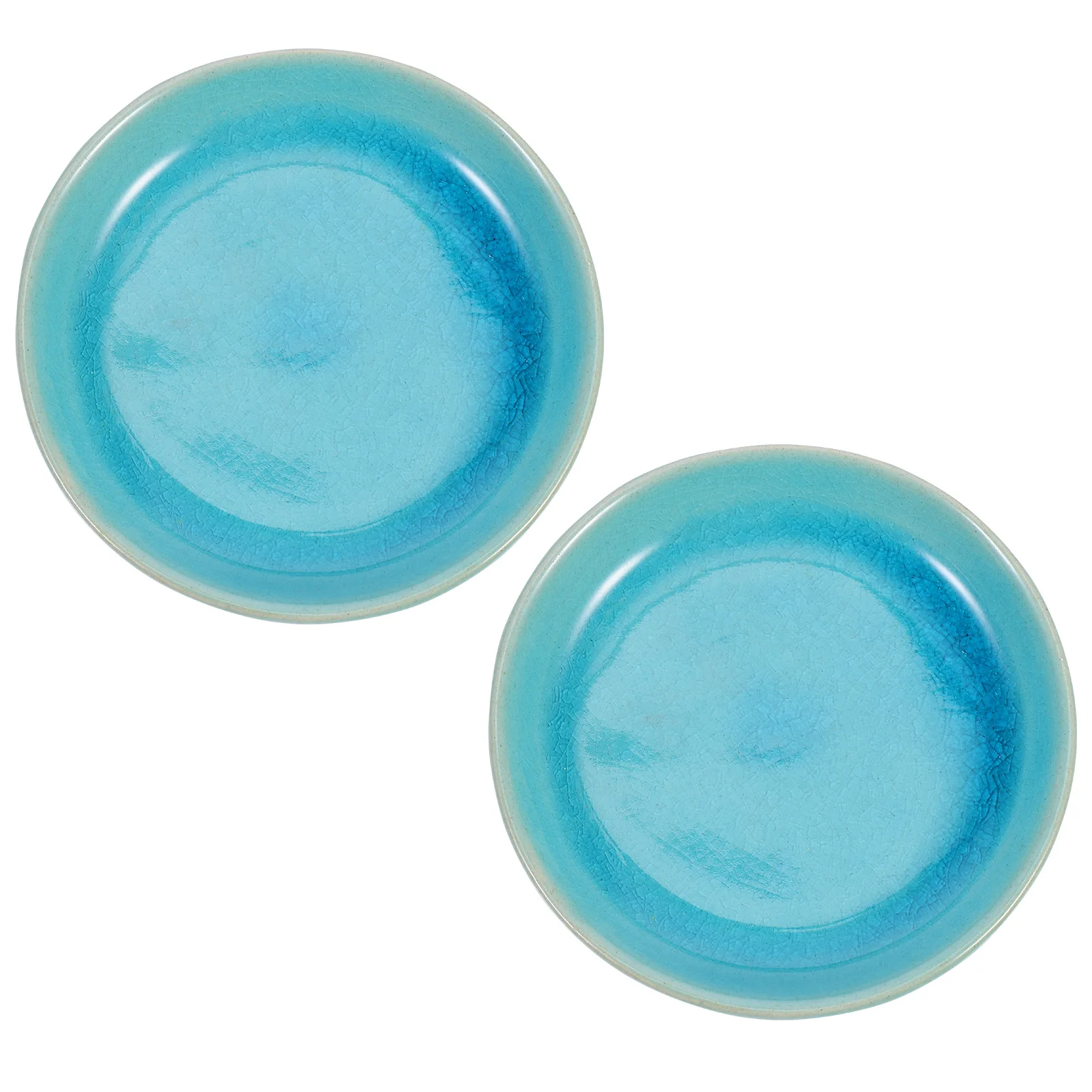

2Pcs Gua Sha Scraping Dish Ceramic Durable Multi-Functional Body Leg Massager Relieve Muscle Pain Promote Blood Circulation