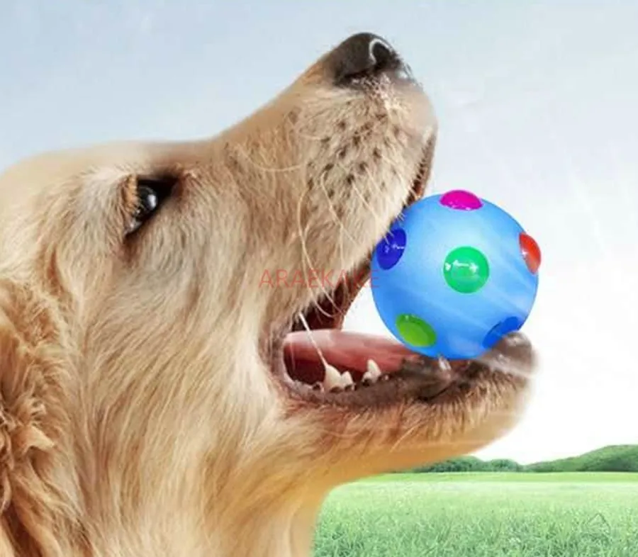 luminous elastic ball training interactive throwing dog ball Small dog flash pet ball TPR three color