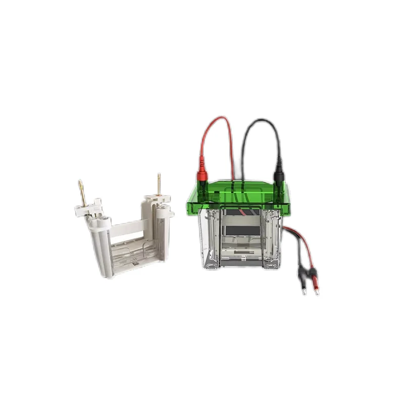 

Protein and Transfer Electrophoresis Vertical Electrophoresis Tank (Double Plate) Factory Price