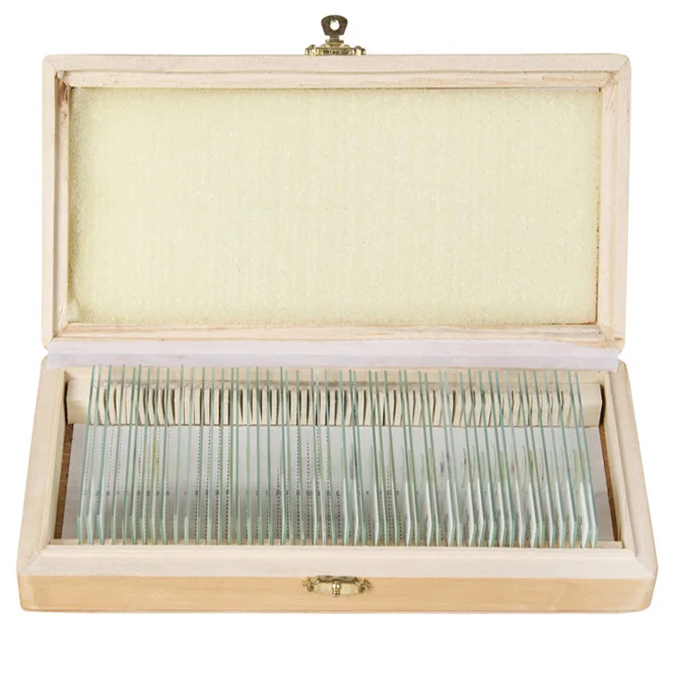 50pcs Wooden Box Set Medical Oral Tooth Histology Human Dental Microscope Prepared Slides